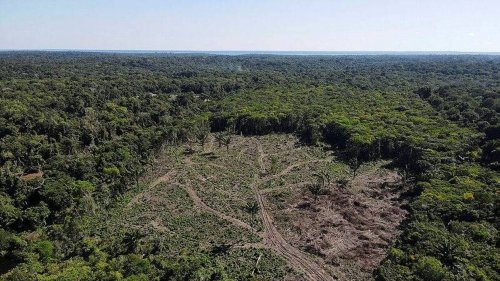 Brésil. Où en est la déforestation de l’Amazonie après quatre années de présidence Bolsonaro ?