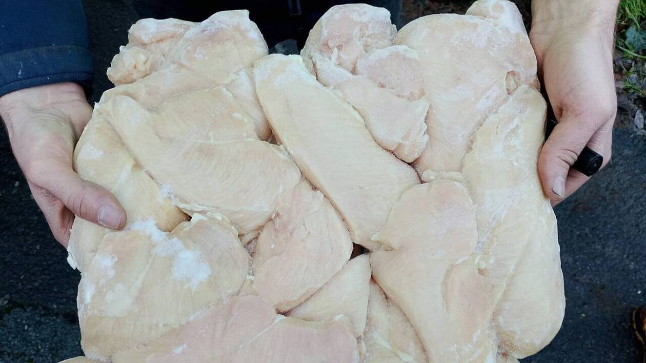 Du poulet brésilien congelé découvert lors d’un contrôle des agriculteurs bretons : la coopérative Terrena se