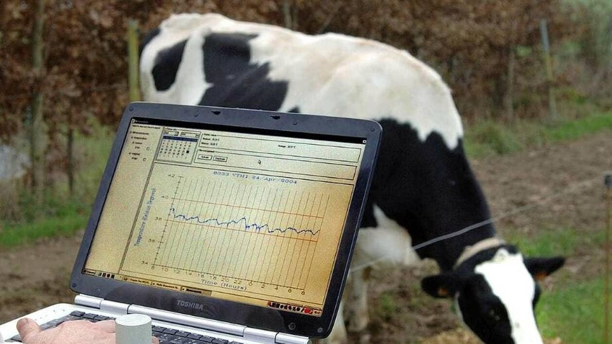 Agriculture. « Les algorithmes face aux lois de la nature »