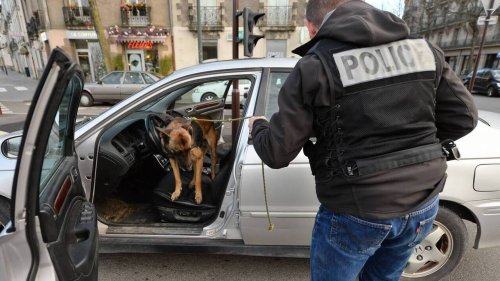 Nantes. En fuyant la police en voiture, ils jettent de la drogue et des munitions