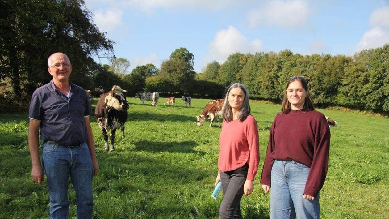 « Le plus beau métier du monde » : cet éleveur normand prend sa retraite, le défi de la transmission