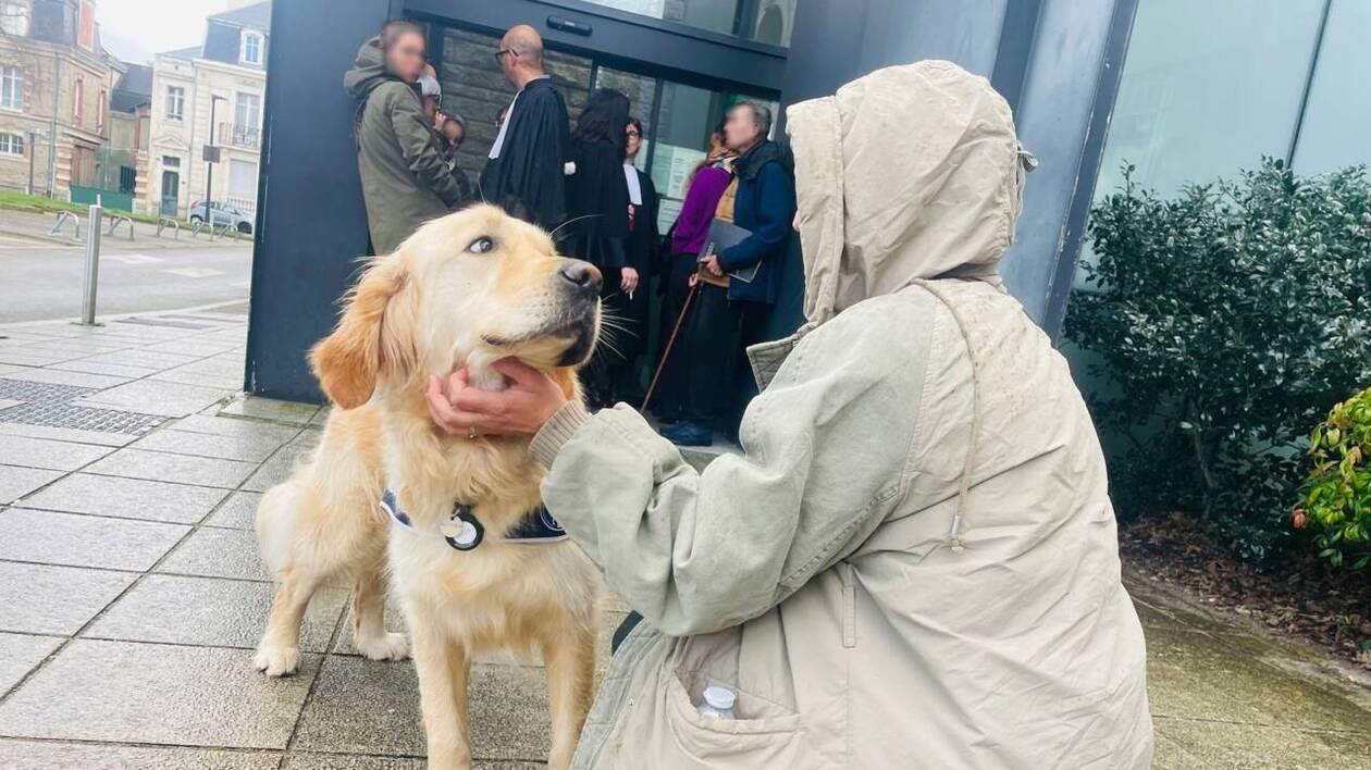 Au procès Le Scouarnec, les chiens d’assistance judiciaire apportent un peu de répit aux victimes