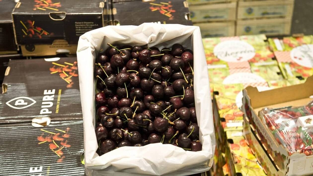 La cerise « solidaire » bientôt sur les étals, C’est qui le patron ? ! vise les fruits et légumes