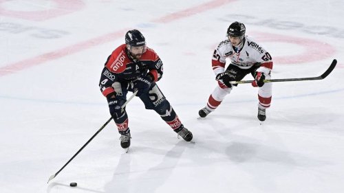 Hockey sur glace – Ligue Magnus. Antonin Manavian, la force du sage des Ducs d’Angers
