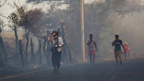 Feux de forêt au Chili : au moins quatre morts et neuf blessés, 29 000 hectares brûlés