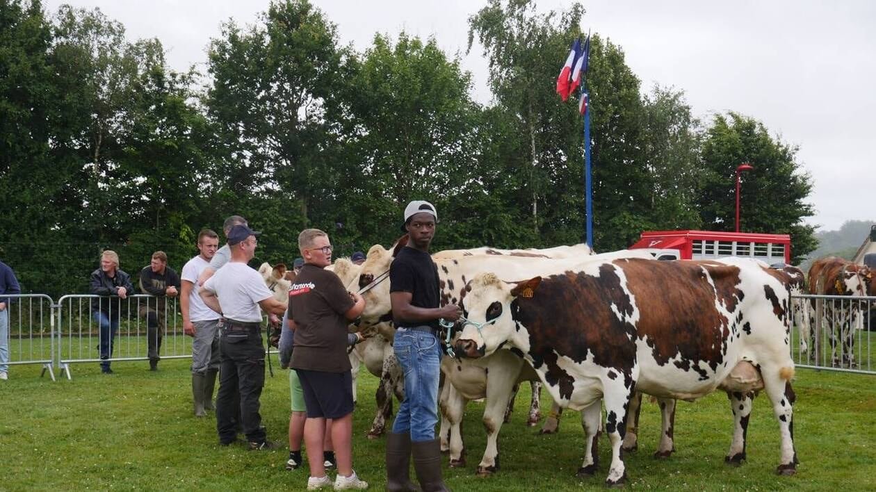 Concours de vaches laitières, loto bouse : un riche programme au comice agricole de Vassy