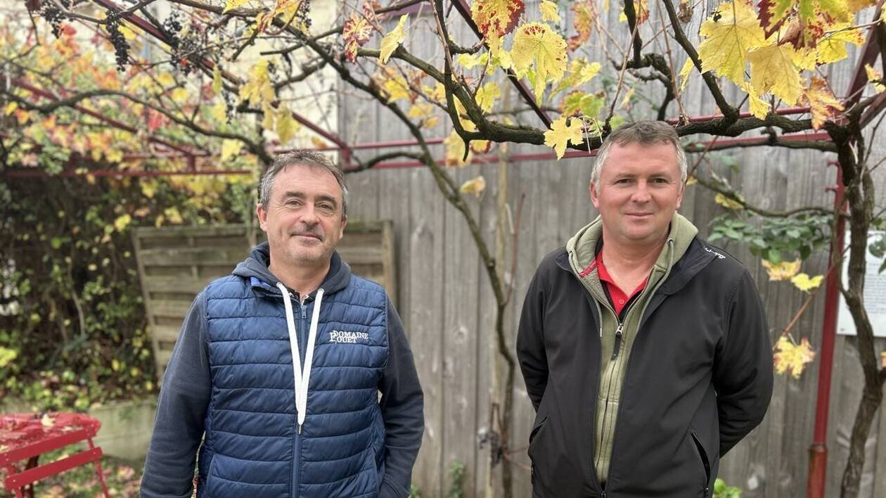 Produits à base de cuivre retirés du marché : quels usages pour demain dans les vignes en bio ?