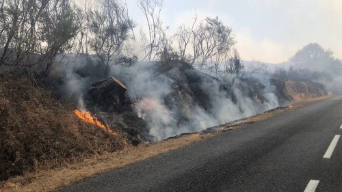 DIRECT. Incendie : un feu s’est déclaré dans la forêt de Brocéliande, plus de 200 hectares brûlés