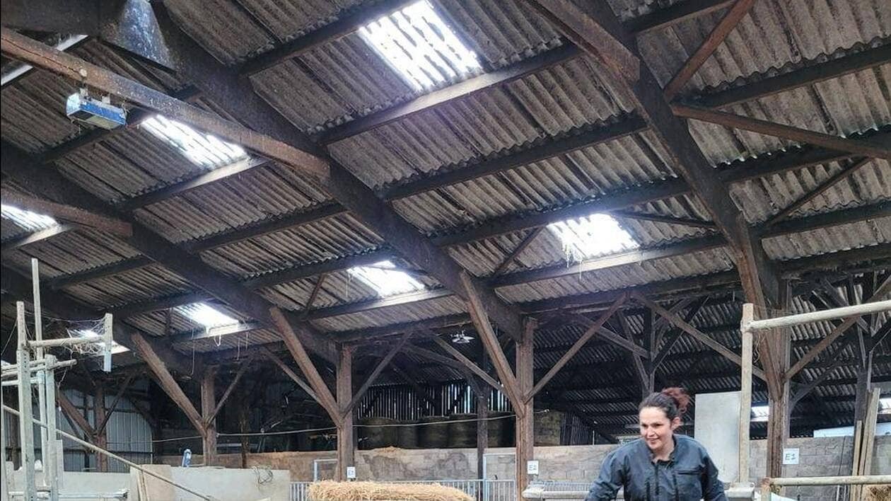 Agricultrice, elle a des vaches qui entretiennent le littoral et des porcs nourris avec des invendus