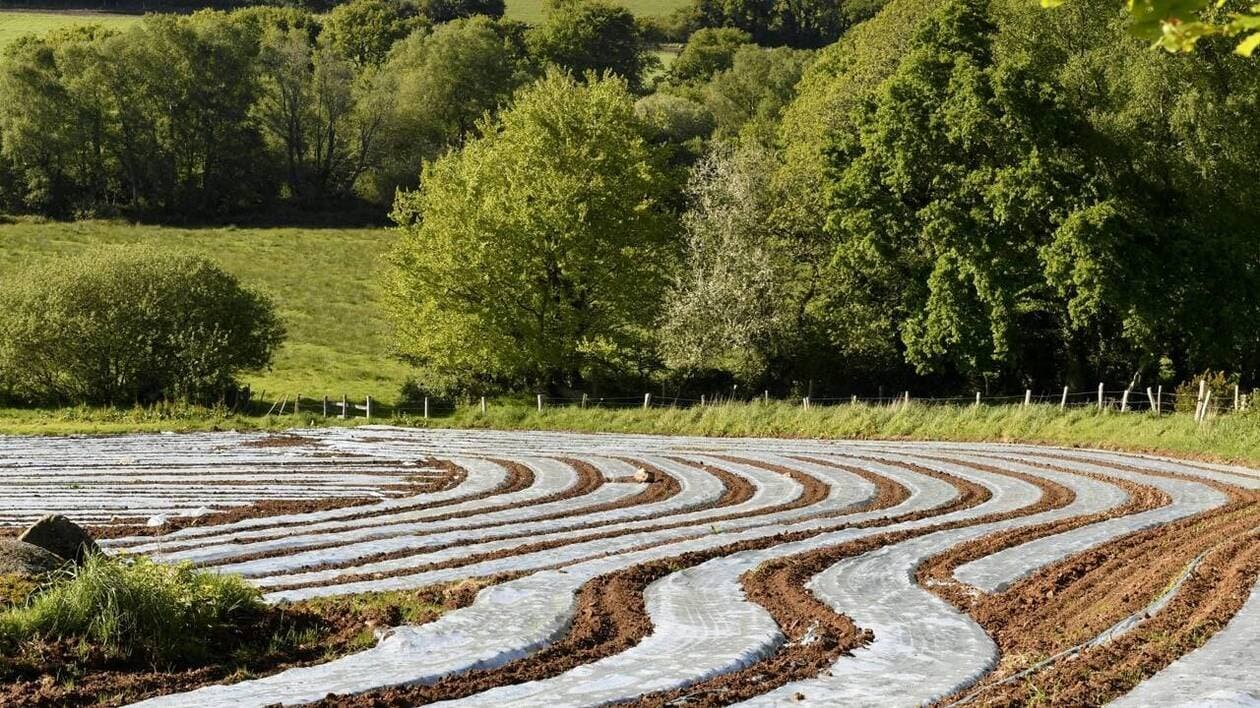 Les microplastiques, nouveau fléau pour les sols agricoles