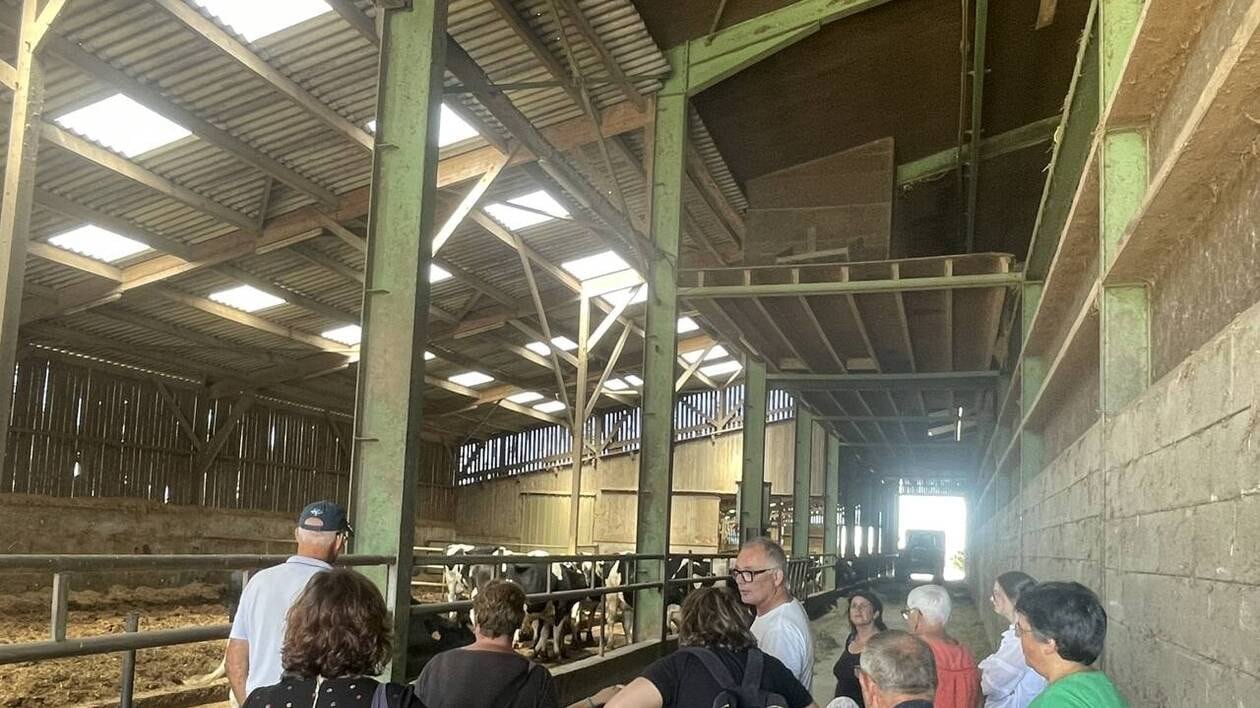 Dans ce coin d’Anjou, les vaches rentrent seules à la traite