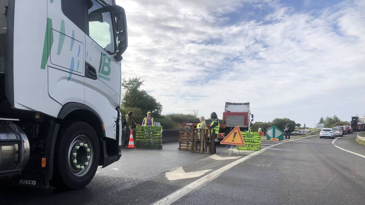 Mouvement du 10 septembre. Sur les ronds-points du vignoble nantais, bonne humeur… et colère