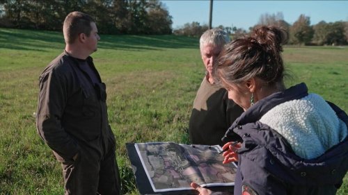 Ce film, qui sensibilise à l’utilité de replanter des haies en Bretagne, récompensé dans un festival