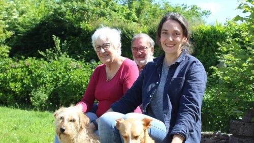 « Nous l’avons retrouvée ! » : en Bretagne, 12 jours de mobilisation pour retrouver un chien disparu