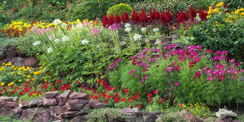 Créer un parterre de fleurs : 9 erreurs à ne surtout pas faire !