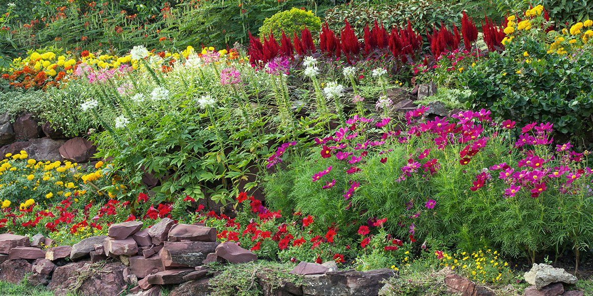 Créer un parterre de fleurs : 9 erreurs à ne surtout pas faire !