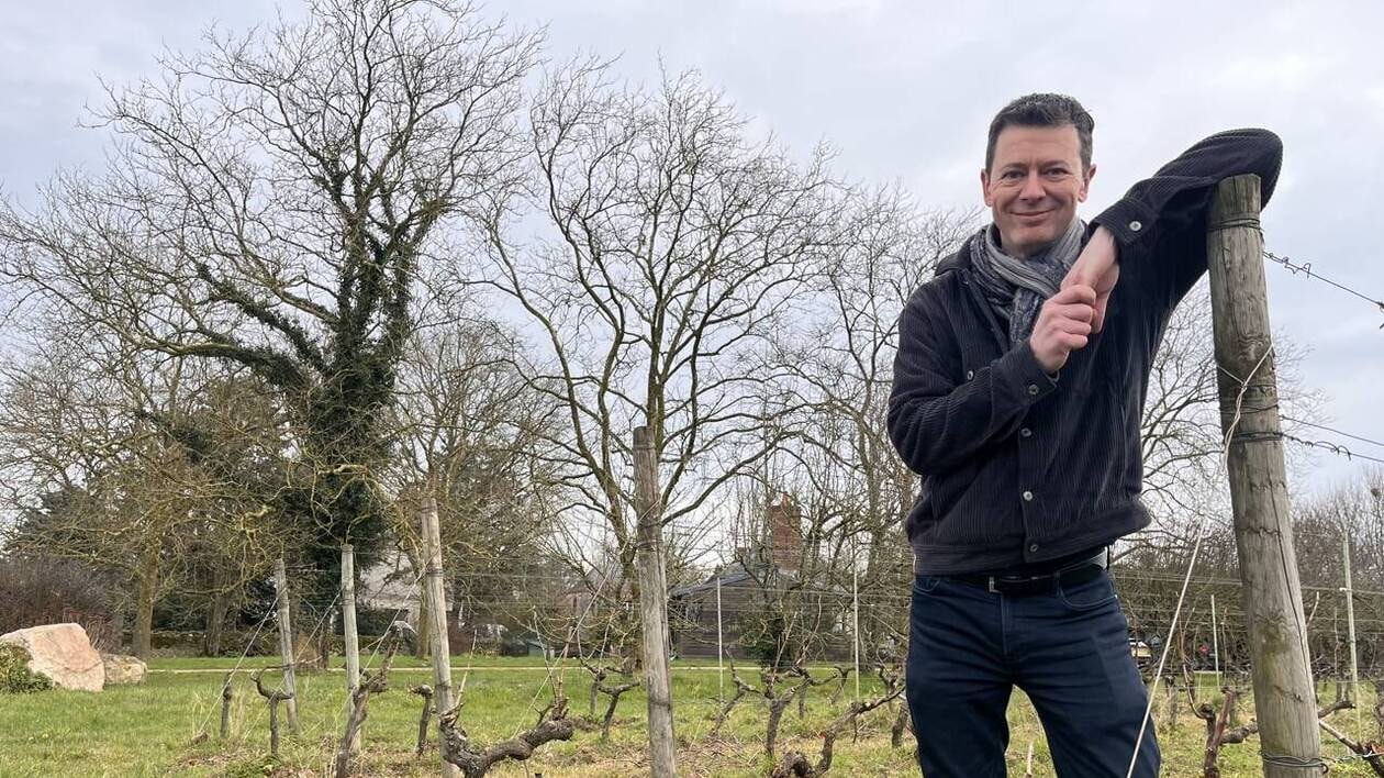 « On craint de nouvelles taxes » : l’arrivée de Trump inquiète ces producteurs de vins de Loire