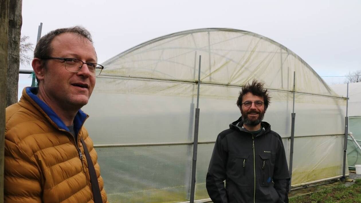 « On en est au balbutiement » : le bio et la restauration collective dans le pays de Lorient