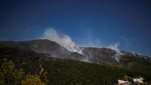 Au Portugal, le feu de forêt dans un parc naturel a repris, après avoir été déclaré maîtrisé