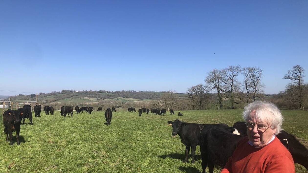 La ferme de l’Inrae livre des bovins croisés à l’entreprise Charal