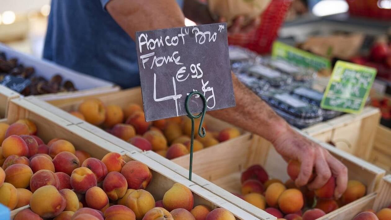 Comment bien choisir ses fruits sur les marchés de l’été ?
