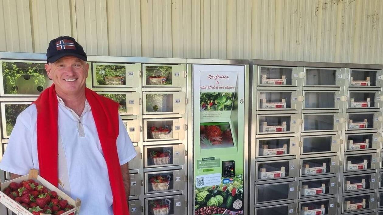 « Si vous avez des envies… » : ce producteur installe un distributeur de fraises près de Saint-Malo