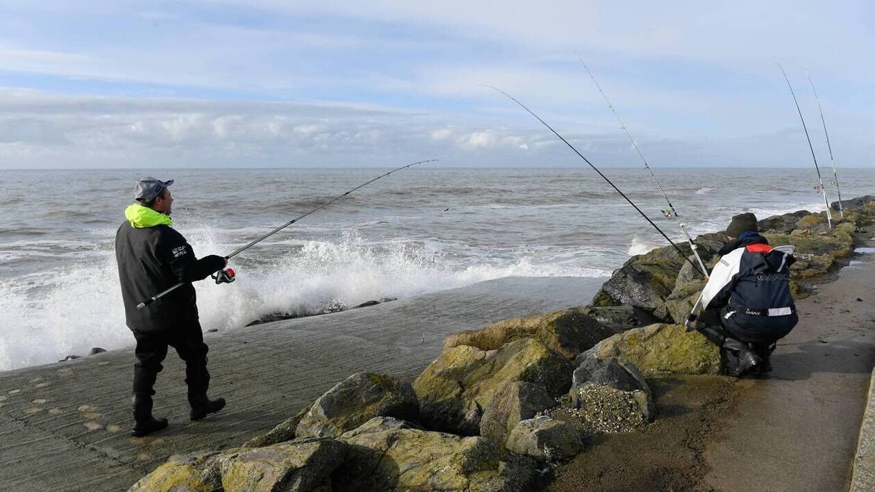 « C’est une honte » : la colère des pêcheurs amateurs contre l’obligation de déclarer leurs prises