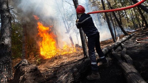 EN IMAGES. Jour 2 : le combat des pompiers contre les incendies dans la forêt de Brocéliande