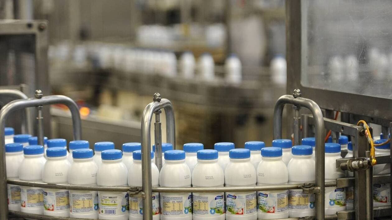 Les coûts de production divisent l’interprofession laitière