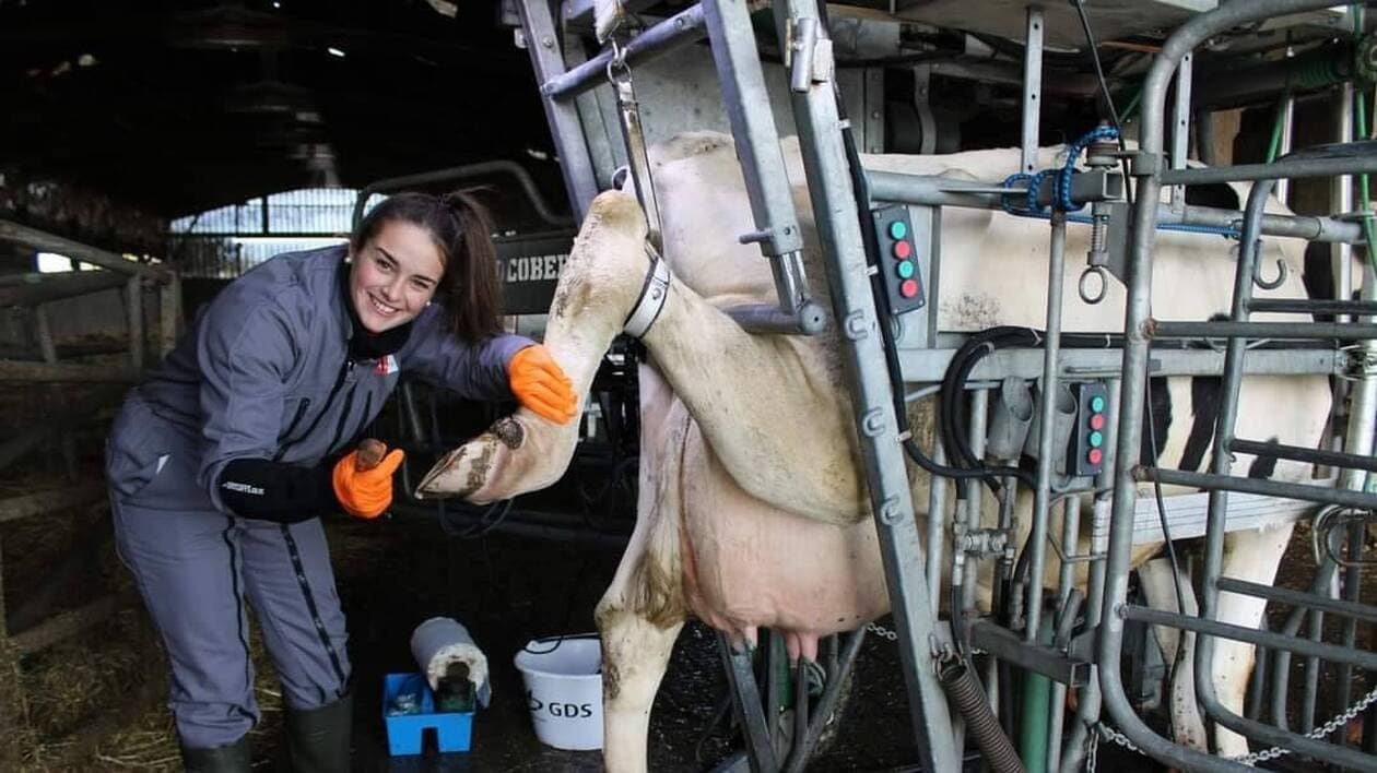 « Un autre visage de l’agriculture » : à 23 ans, Perrine est influenceuse et pédicure pour bovins
