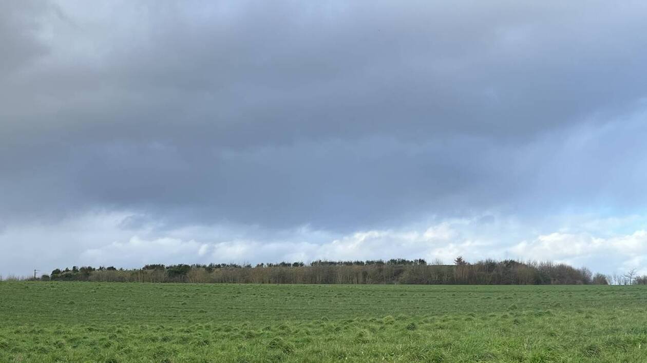 « Pas d’intervention d’un tiers » : Retrouvée morte, elle tentait de sauver son chien d’une bassine
