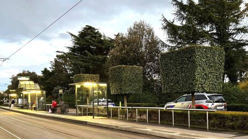 Il s’était tiré dessus accidentellement en fuyant la police, le suspect écroué avant son procès
