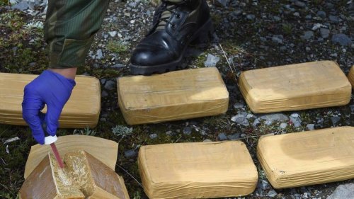 Trafic de drogue : une opération internationale permet la saisie de 115 kg de cocaïne en Belgique