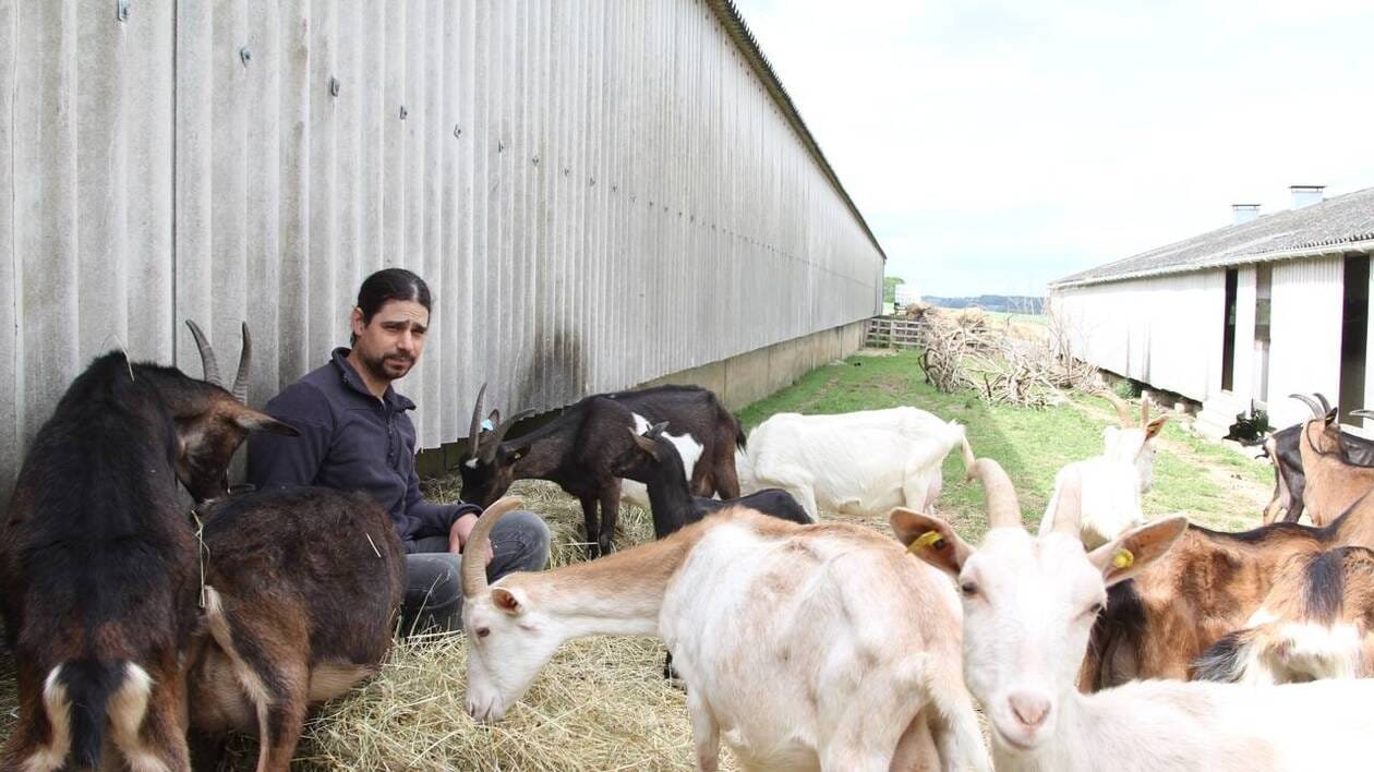 « Obligés de travailler à côté » : Ce couple d’éleveurs bretons construit son projet de chèvrerie