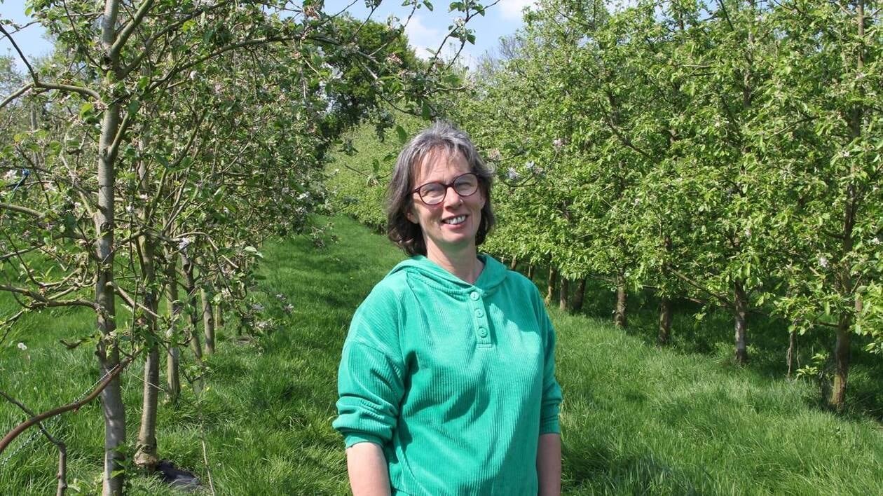 Face au lac de Guerlédan, cette arboricultrice bretonne s’occupe de son verger au rythme des saisons