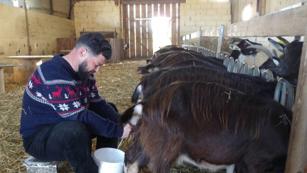 À Saint-Georges-de-Bohon, la ferme du Chastel rouvre son marché de producteurs