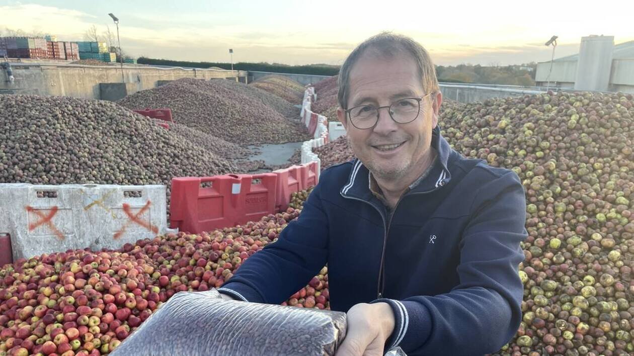Des pépins en huile cosmétique, pour l’alimentation animale… La pomme, ça ne sert pas qu’à faire du cidre !
