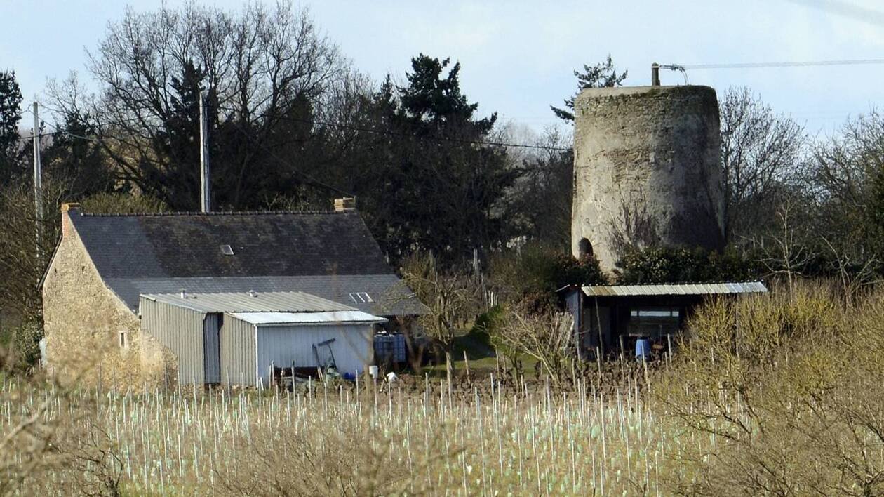 « Séquestré et torturé » : le vendangeur pendu, affaire de violence barbare et meurtre déguisé
