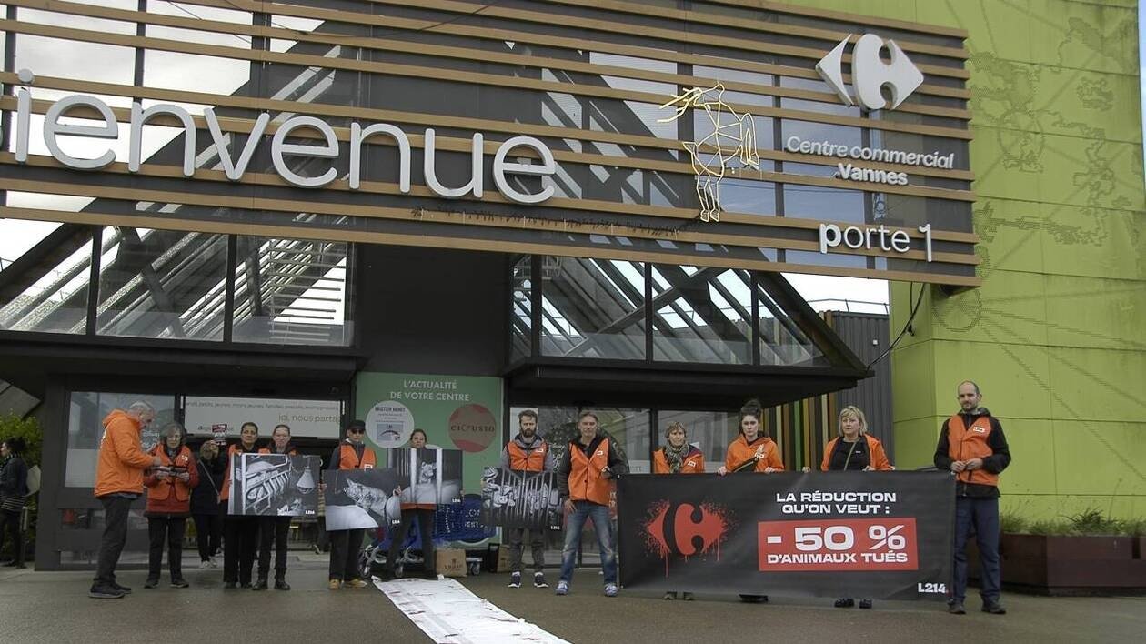 Action de L214 devant l’hyper Carrefour de Vannes