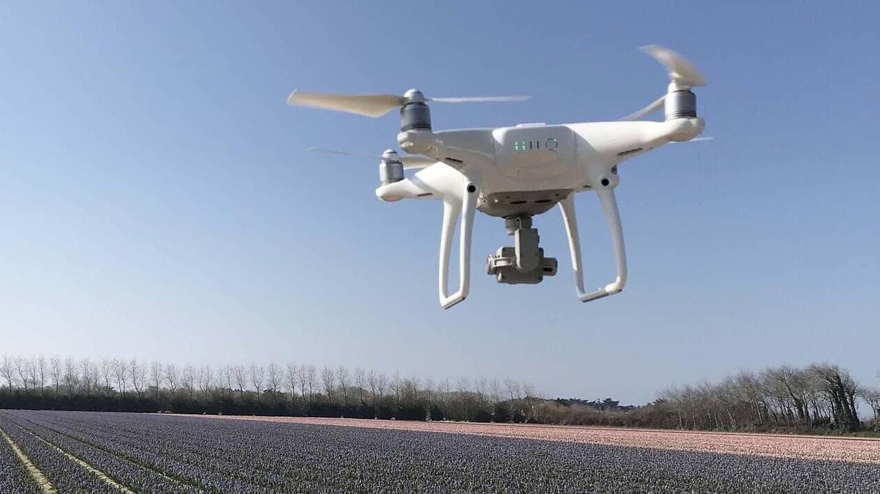 Un drone des pompiers pour retrouver un veau dans le Finistère