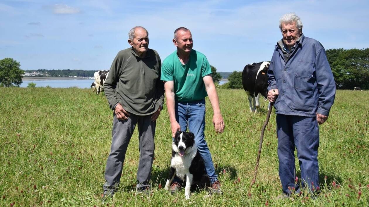 « C’est le plus beau métier » : ils perdurent l’agriculture à Vannes depuis quatre générations