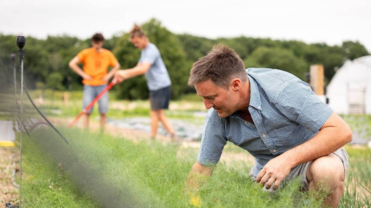 En Vendée, un campus pour les futurs maraîchers en « bio intensif »