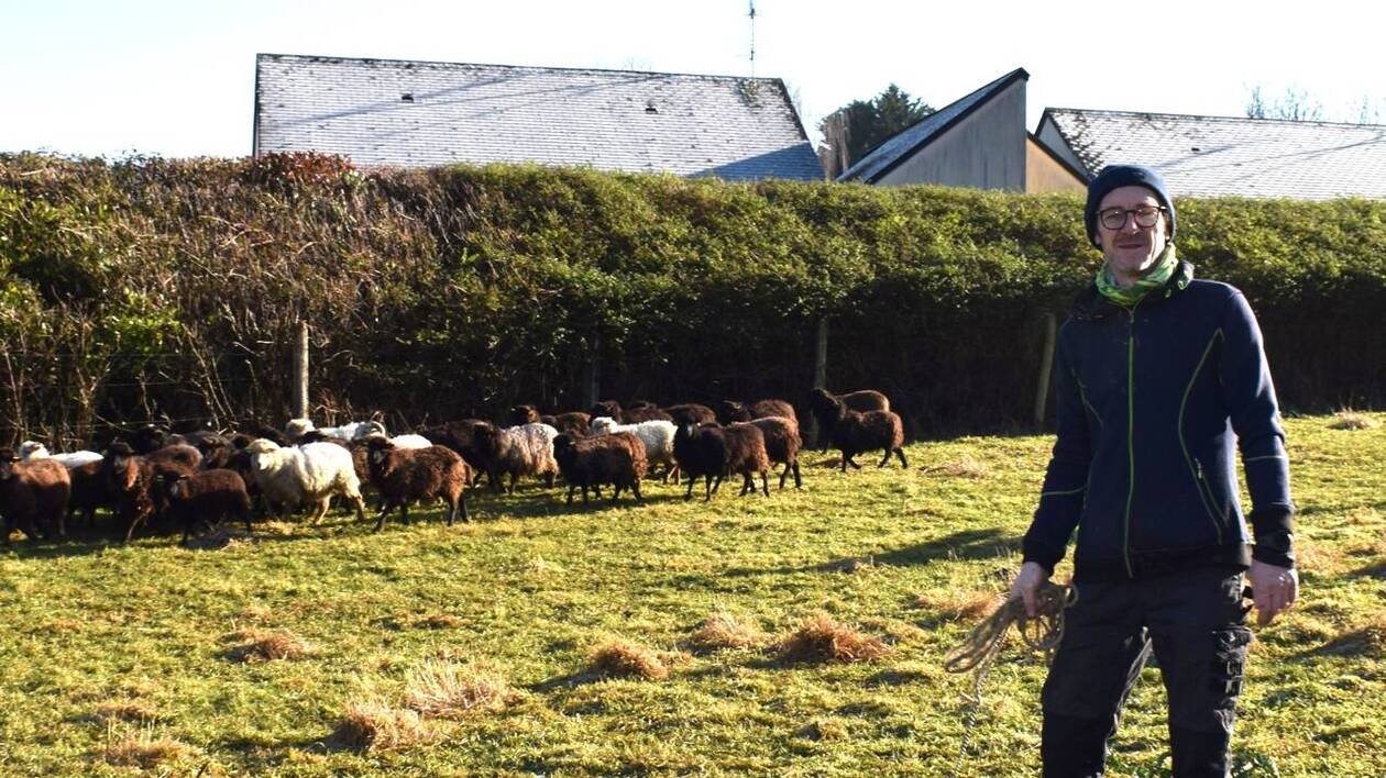 À Olivet, Philippe Bois se lance dans l’éco-pâturage