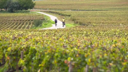 Le Tour de Bourgogne à vélo : 664 km sur la V51, entre canaux, vignes et patrimoine