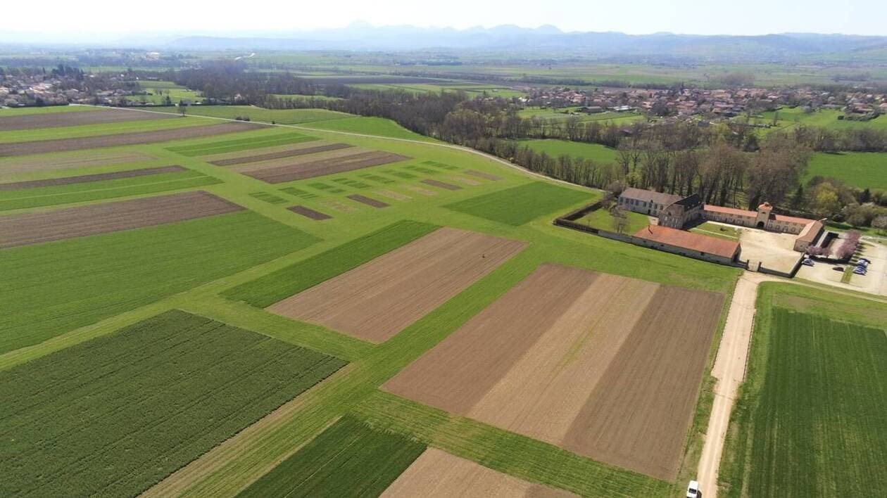 Limagrain, quatrième semencier au monde, fait germer l’innovation