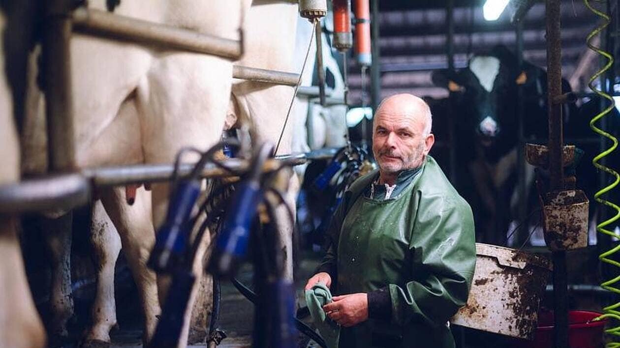 Cet agriculteur au sud de Rennes est candidat dans « l’Amour est dans le Pré » sur « M6 »