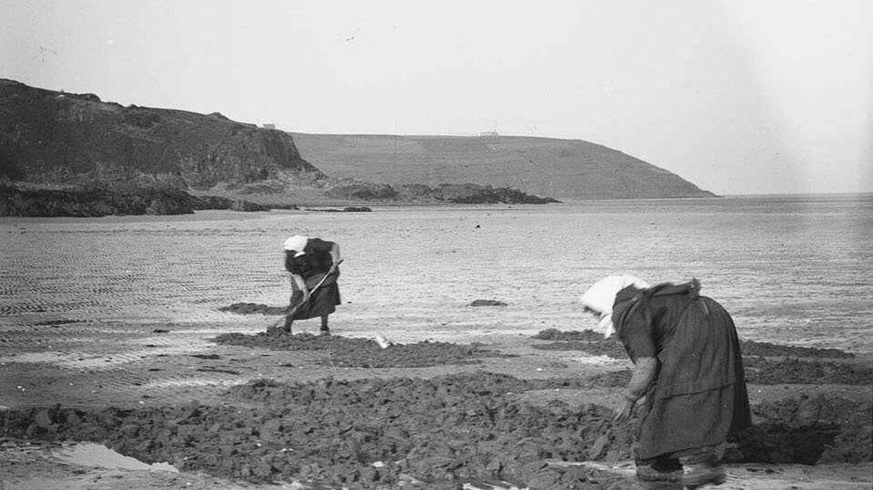 Oubliées de l’histoire de Saint-Jacut, ces femmes ont eu un rôle essentiel dans l’économie littorale