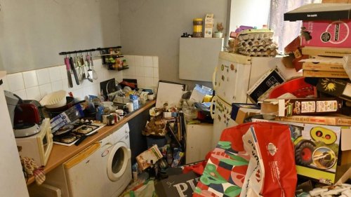 « Une montée en puissance des cas » : le syndrome de Diogène, ce trouble qui touche les Finistériens