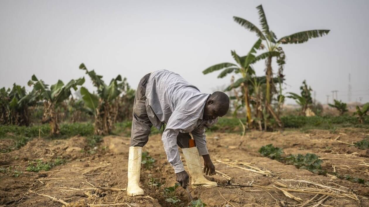 Au Nigeria, des fonctionnaires priés de prier pour faire reculer la faim