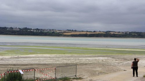 Algues vertes. Qu’ont donné les mesures d’hydrogène sulfuré dans les baies bretonnes ?